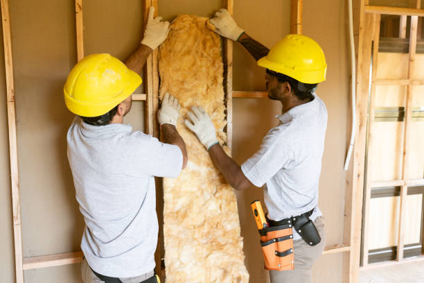 Best Attic Insulation Installation  in Mackinaw, IL